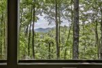 Views from the screened in porch